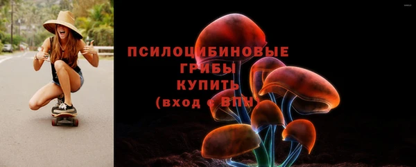 шишки Снежинск