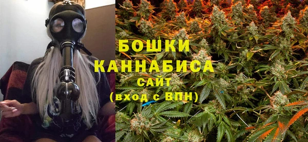 сатива Балабаново