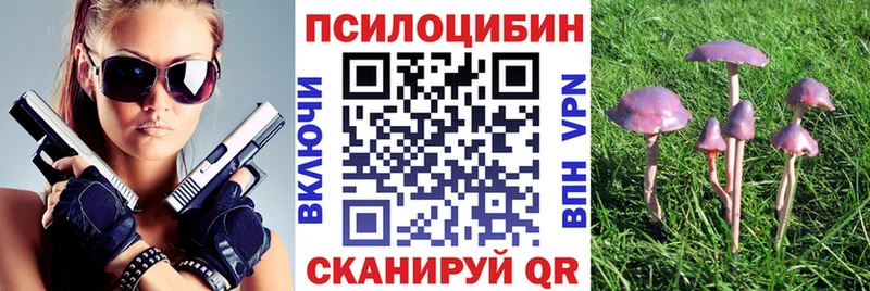 мега ссылки Зеленодольск Псилоцибиновые грибы мухоморы